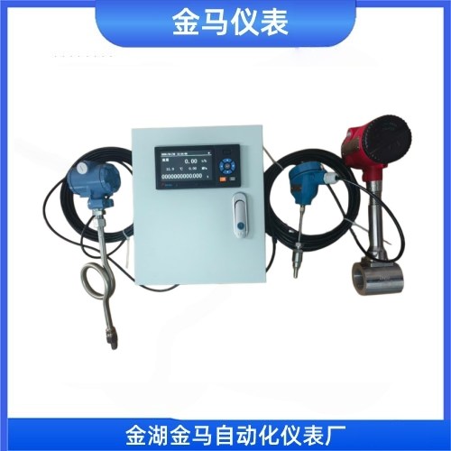 分体型蒸汽流量计 分体型蒸汽流量计